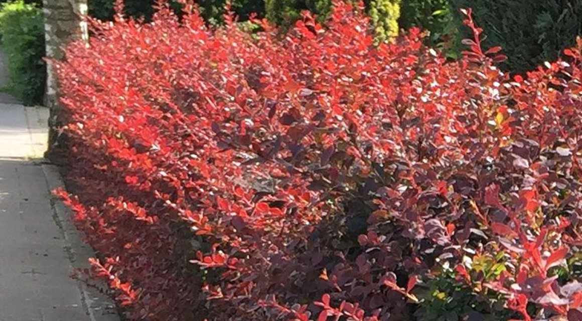 Genieten herfst